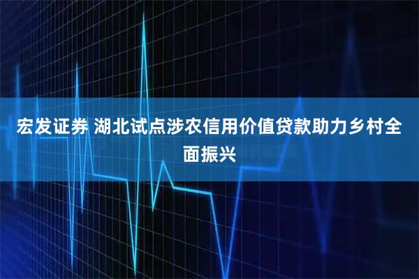 宏发证券 湖北试点涉农信用价值贷款助力乡村全面振兴