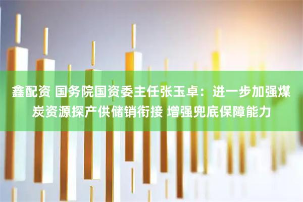 鑫配资 国务院国资委主任张玉卓：进一步加强煤炭资源探产供储销衔接 增强兜底保障能力