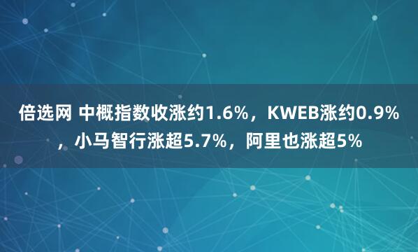 倍选网 中概指数收涨约1.6%，KWEB涨约0.9%，小马智行涨超5.7%，阿里也涨超5%