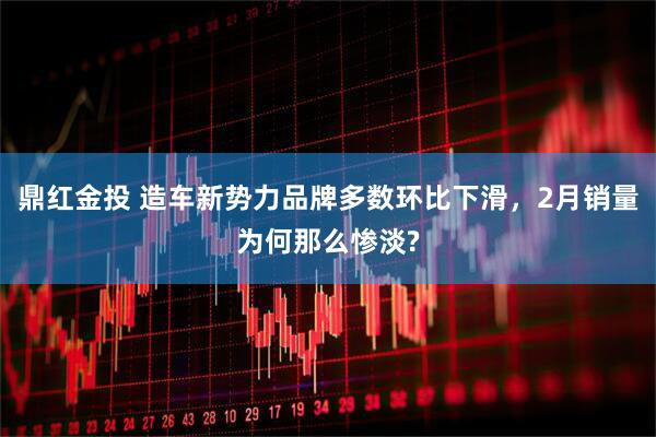 鼎红金投 造车新势力品牌多数环比下滑，2月销量为何那么惨淡?