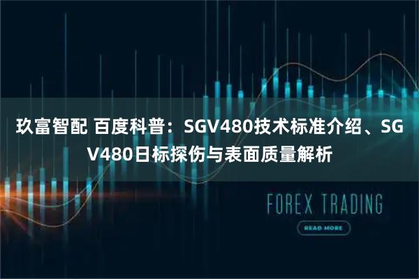 玖富智配 百度科普：SGV480技术标准介绍、SGV480日标探伤与表面质量解析